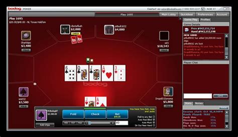 Lucky Card Layout Bodog