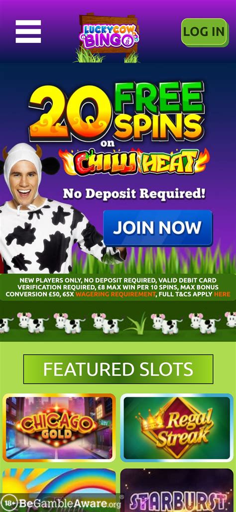 Lucky Cow Bingo Casino App