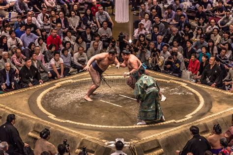 Luta De Sumo Jogo