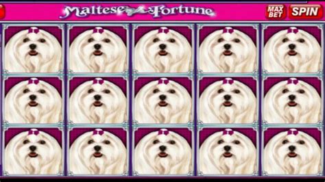 Maltes Fortune Online