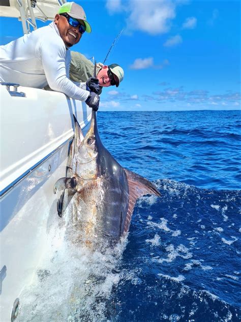 Marlin Catch Betsul