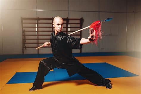 Martial Art Master Bwin
