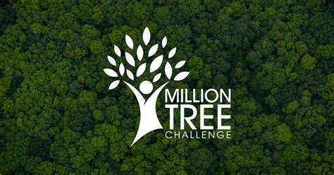 Million Tree Novibet