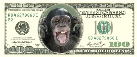 Money Monkey Bodog