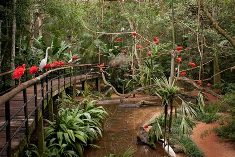 Monte Casino Parque Das Aves Joanesburgo