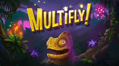 Multifly 1xbet