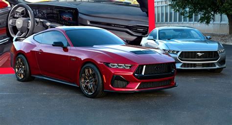 Mustang Gold Review 2024