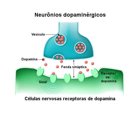 O Jogo Liberacao De Dopamina