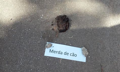 O Meu Cao De Merda Na Casa