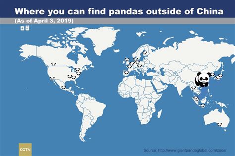 Panda Planet Review 2024