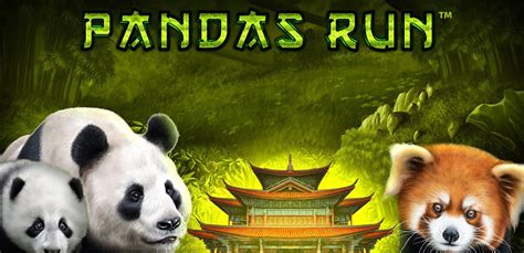 Panda S Run Slot - Play Online