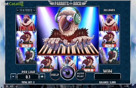 Parrots Rock Review 2024