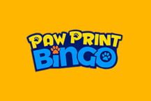 Paw Print Bingo Casino App
