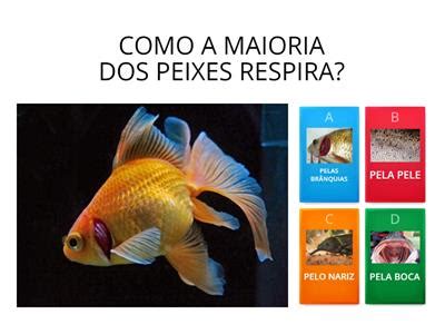 Peixes De Roleta