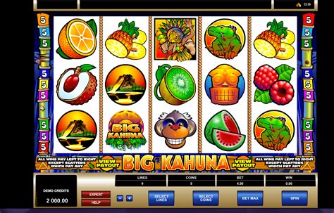 Play Big Kahuna Slot