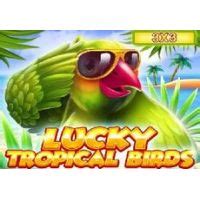 Play Lucky Tropical Birds 3x3 Slot