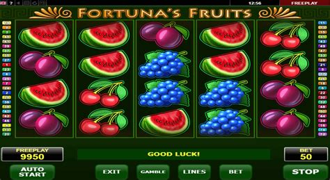 Play Winners Fruits Slot