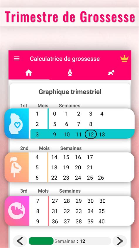 Roleta Semaine Grossesse