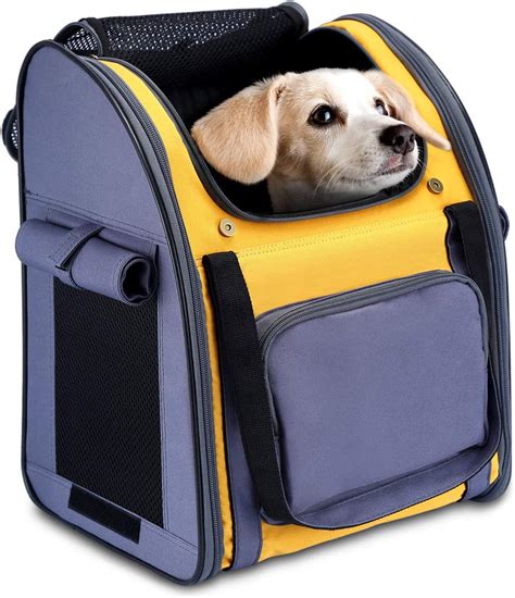 Sac Um Dos Roleta Despeje Chien