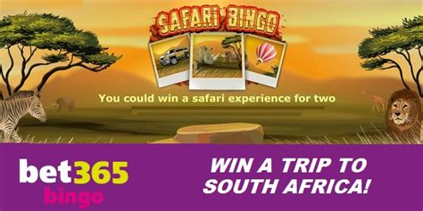 Safari Bet365