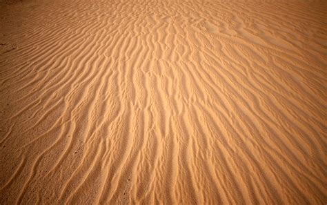 Sands Of Egypt Bodog