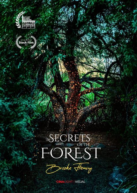 Secrets Of The Forest Betway