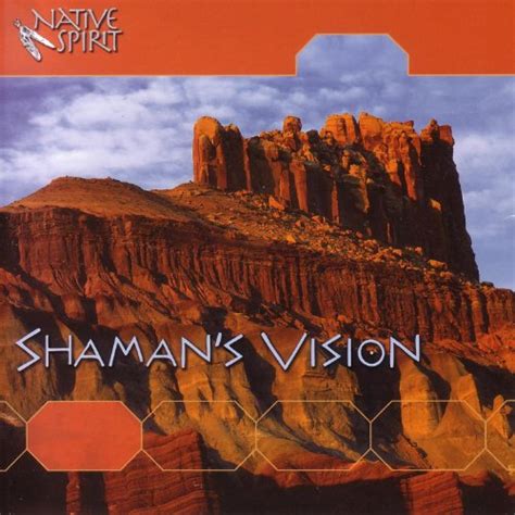 Shaman S Vision Review 2024