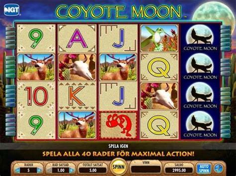 Slot Coyote Lua Gratis