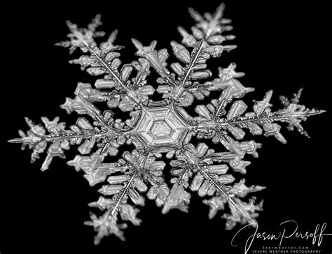 Snowflakes Betsul