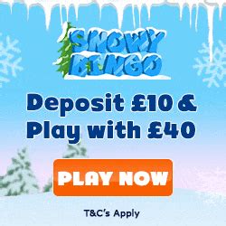 Snowy Bingo Casino App