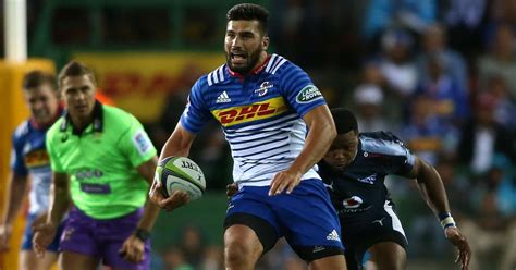 Stormers Pt Springbok De Fenda