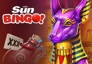 Sun Bingo Casino Apk