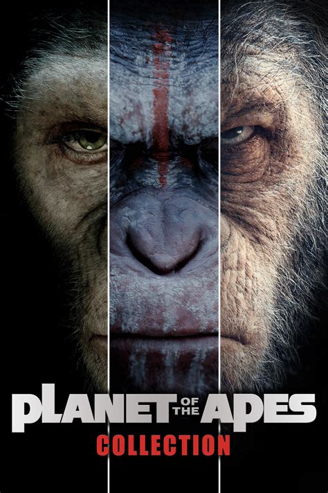 The Apes Bodog