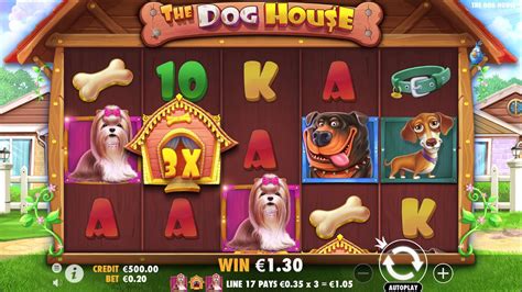 The Dog House Review 2024