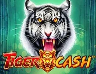 Tiger Cash Blaze