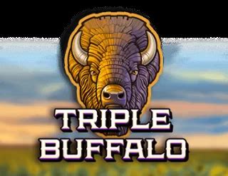 Triple Buffalo Brabet