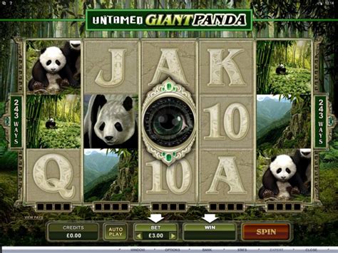 Untamed Giant Panda 888 Casino
