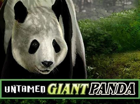 Untamed Giant Panda Novibet