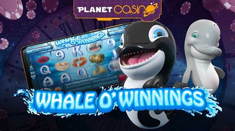 Whale O Winnings Bodog