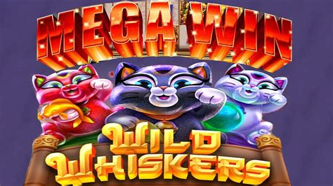 Whisker Wins Casino Apk