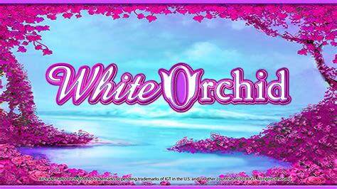 White Orchid Slot - Play Online