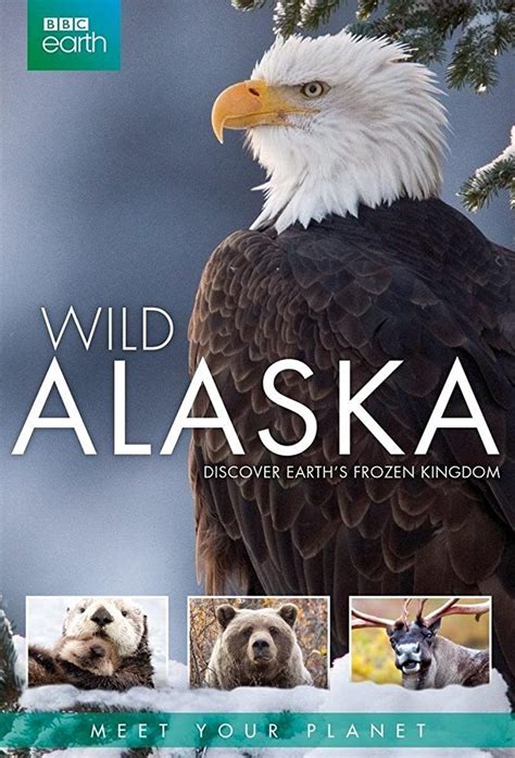 Wild Alaska Leovegas