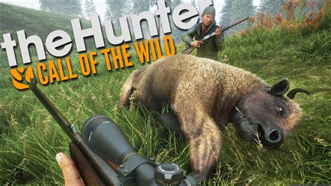 Wild Hunter Betsul