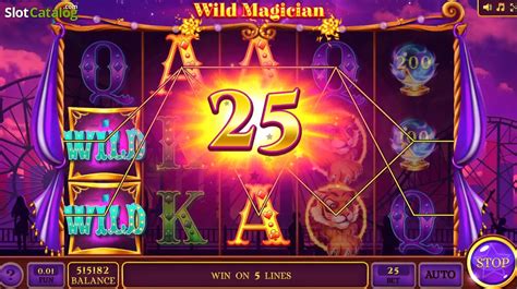 Wild Magician Review 2024