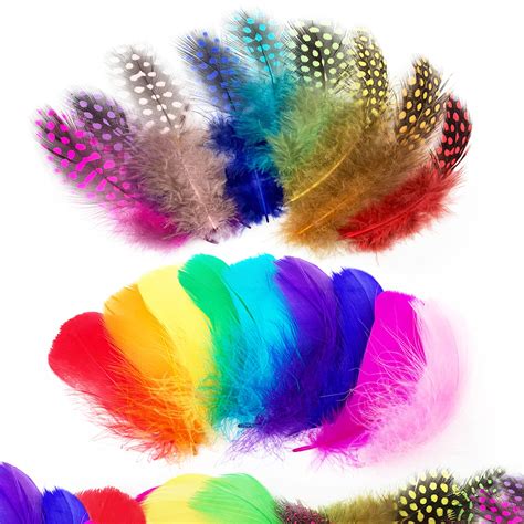 Wild Rainbow Feathers 1xbet